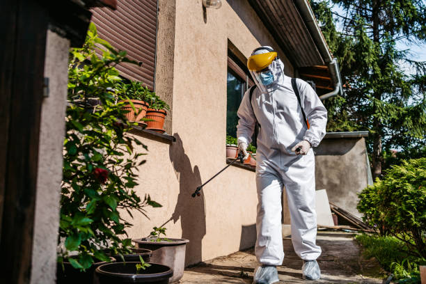 Best Affordable Pest Control Services  in Barnesville, OH
