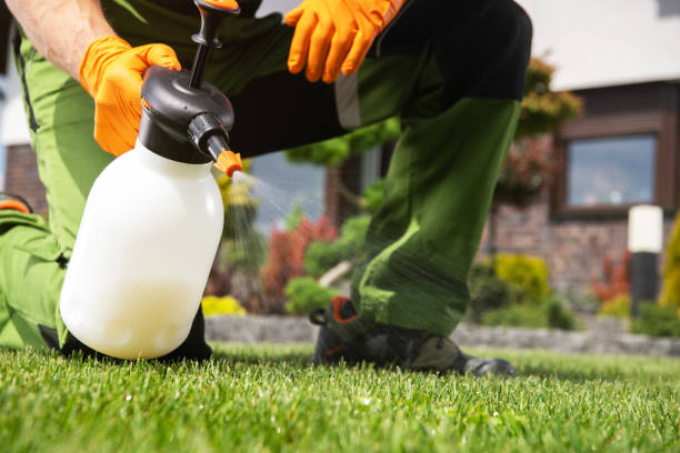 Best Best Pest Control Companies  in Barnesville, OH