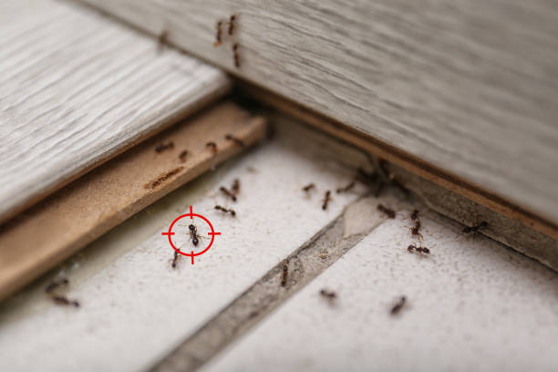 Pest Control Cost in Barnesville, OH