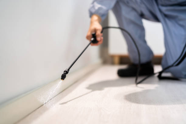 Best Flea Control Services  in Barnesville, OH