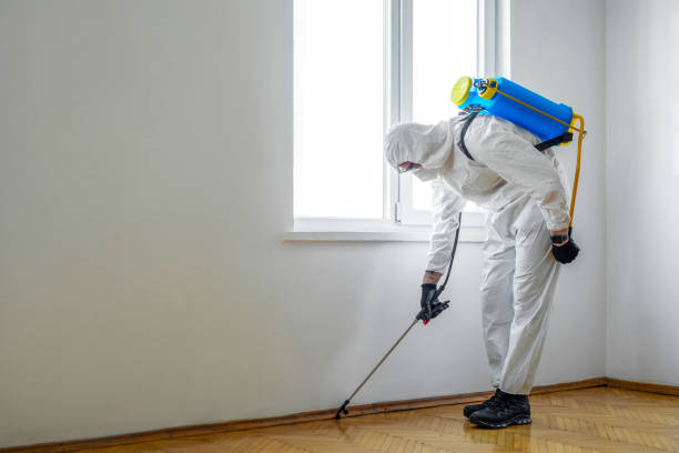 Best Best Pest Control Companies  in Barnesville, OH