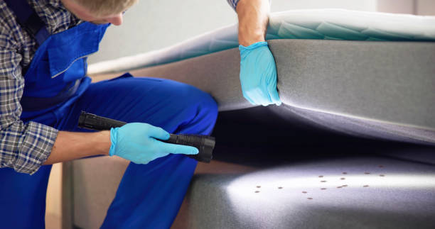 Best Pest Control for Restaurants  in Barnesville, OH