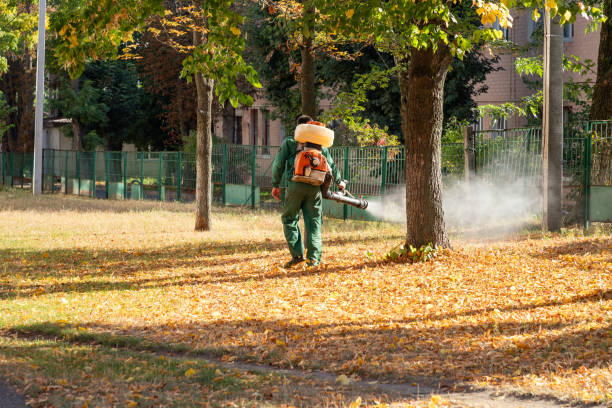 Flea Control Services in Barnesville, OH
