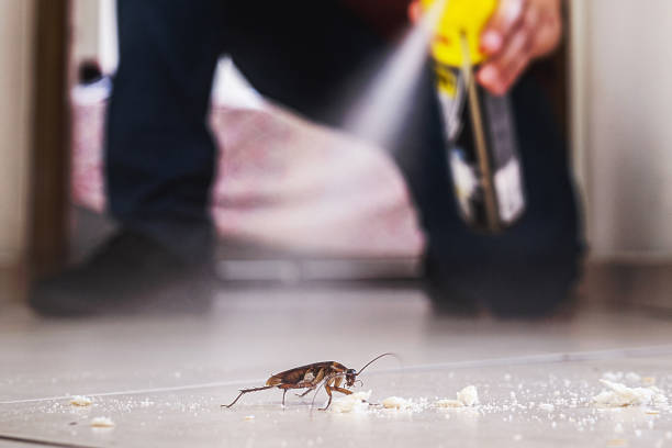 Best Rat Extermination Near Me  in Barnesville, OH