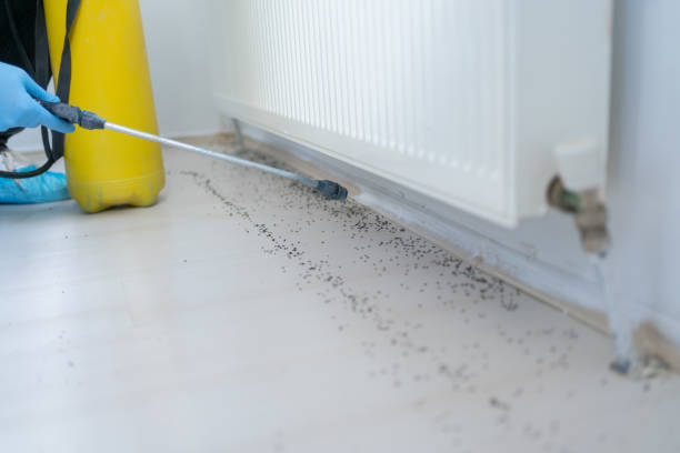 Best Wildlife Control Services  in Barnesville, OH